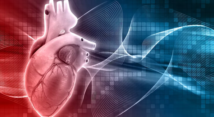 What is the impact of smoking on your heart