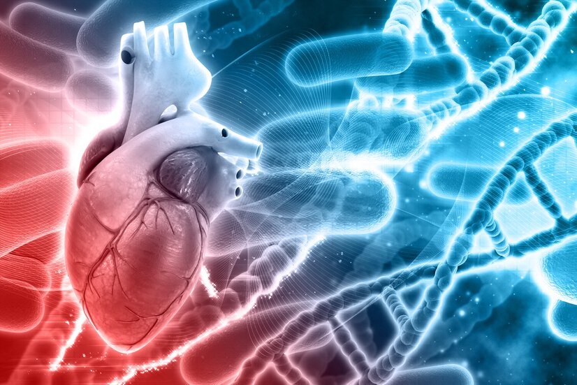 Unveiling the Stages of Atherosclerosis